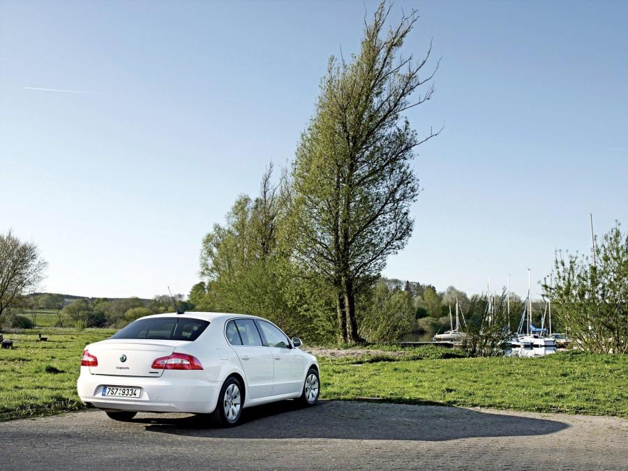  Skoda Superb GreenLine 2008 года  (фото 6 из 30)